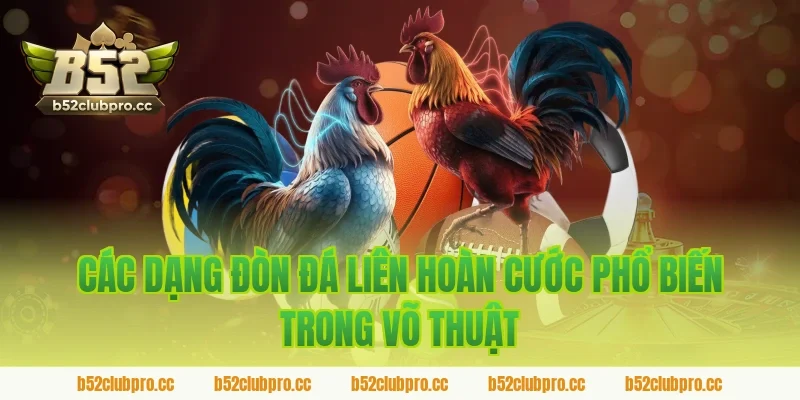 Các dạng đòn đá liên hoàn cước phổ biến trong võ thuật được B52 tổng hợp