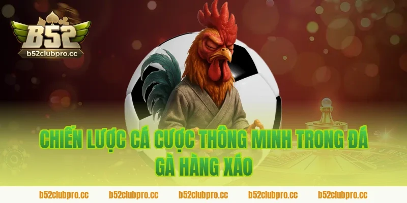 Chiến lược cá cược thông minh trong đá gà hàng xáo B52