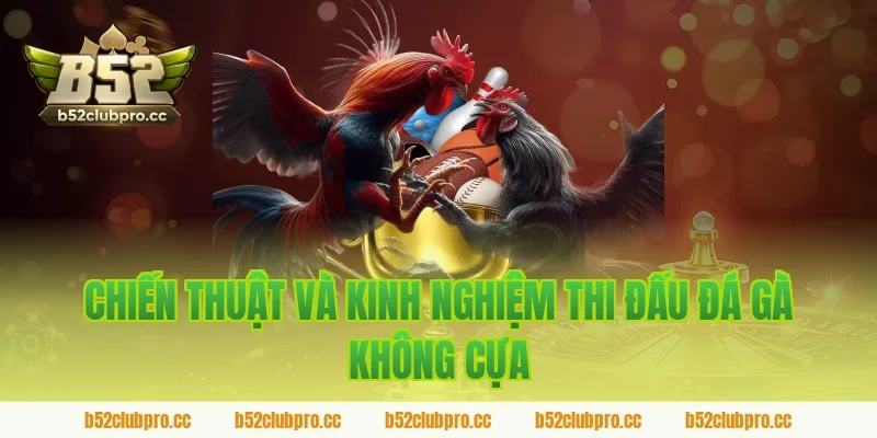 Chiến thuật và kinh nghiệm thi đấu đá gà không cựa trên sảnh B52
