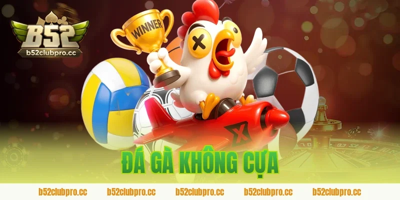 đá gà không cựa