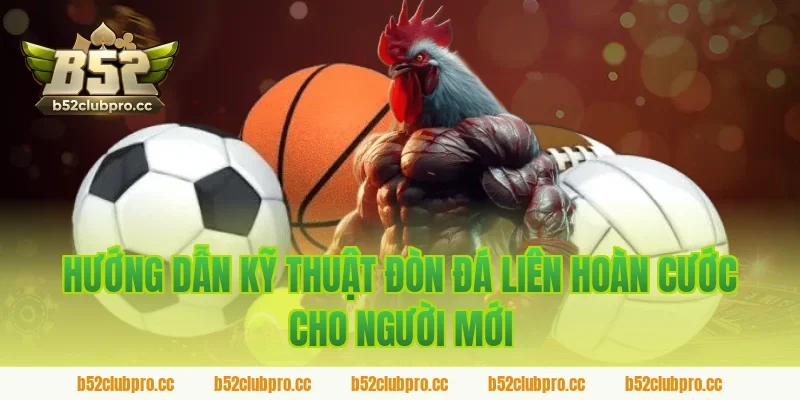 Hướng dẫn kỹ thuật đòn đá liên hoàn cước cho người mới được B52 tổng hợp