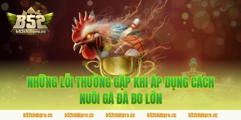 Những Lỗi Thường Gặp Khi Áp Dụng Cách Nuôi Gà Đá Bo Lớn Tại Sới Gà B52
