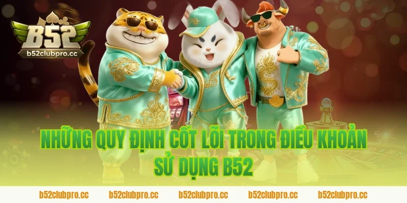 Những Quy Định Cốt Lõi Trong Điều Khoản Sử Dụng B52