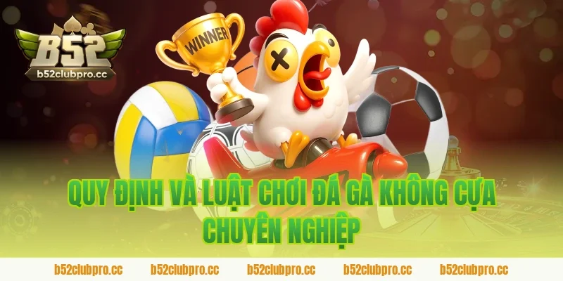 Quy định và luật chơi đá gà không cựa chuyên nghiệp trên sảnh B52