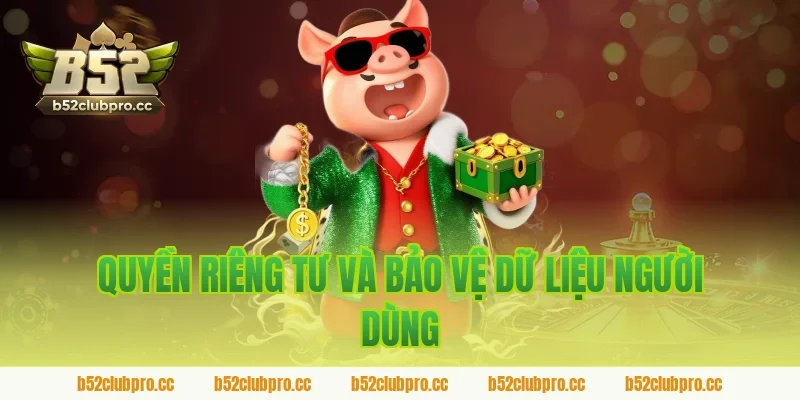 Quyền Riêng Tư Và Bảo Vệ Dữ Liệu Người Dùng